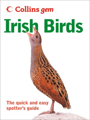 cover image of Irish birds